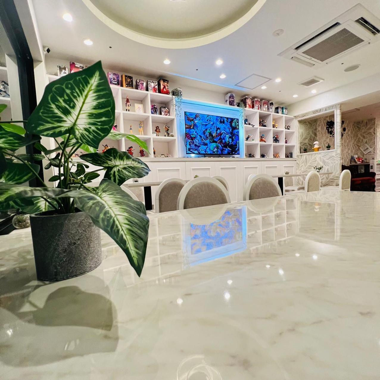 Hotaku Akihabara 3* Tokio